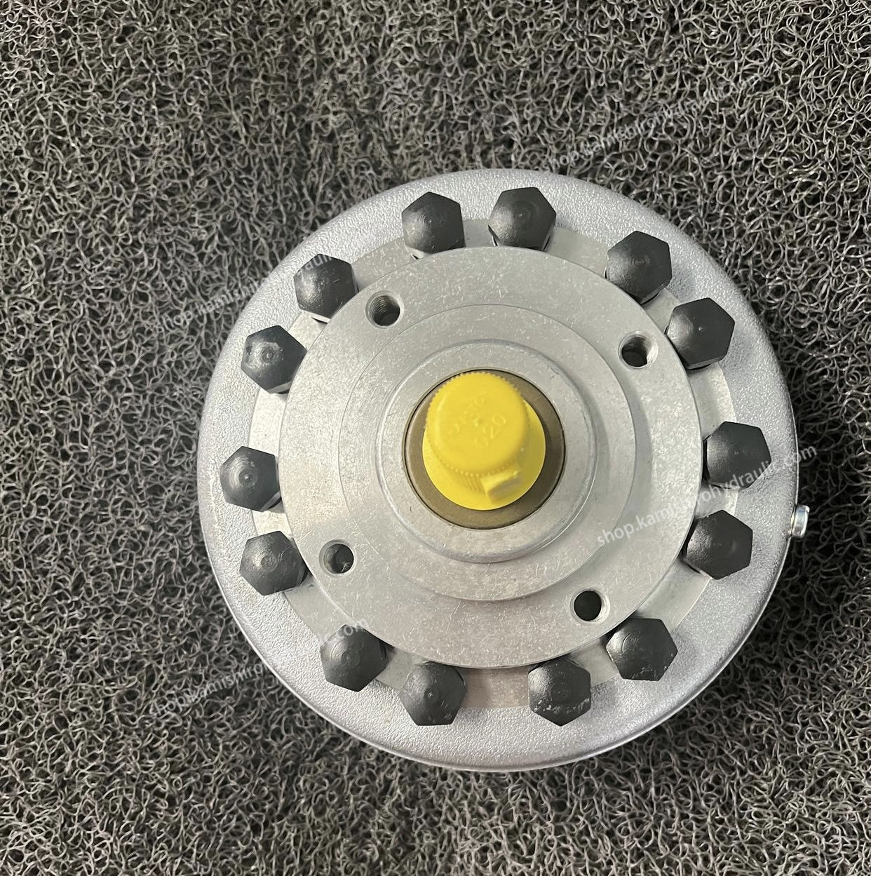 HAWE Radial Piston Pump R5.8 450bar Pump Hydraulic Pump 6011 from Kamishiro Factory