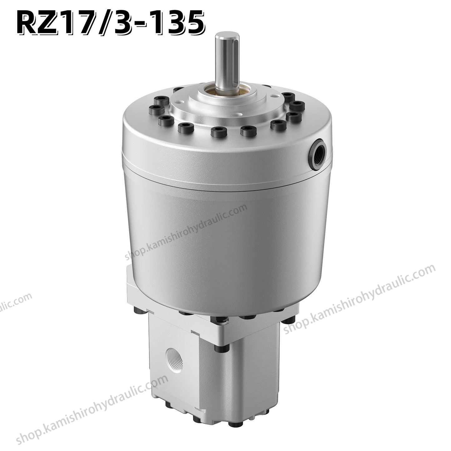 Best Hydraulic R RZ 17/3 Dual-stage pump HAWE Radial Piston Pump PE12 Factory Large Flow Kamishiro
