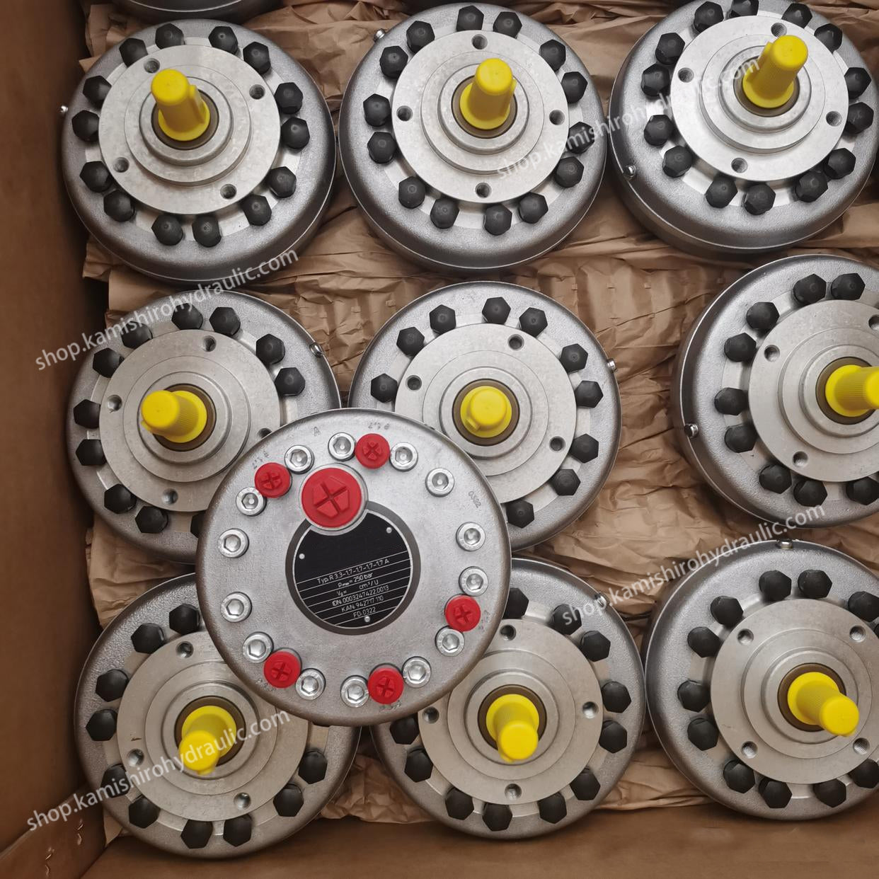 Hawe R8.3-8.3-8.3-8.3 Radial Piston Pump 250bar Kamishiro Factory for Hydraulic Power Unit