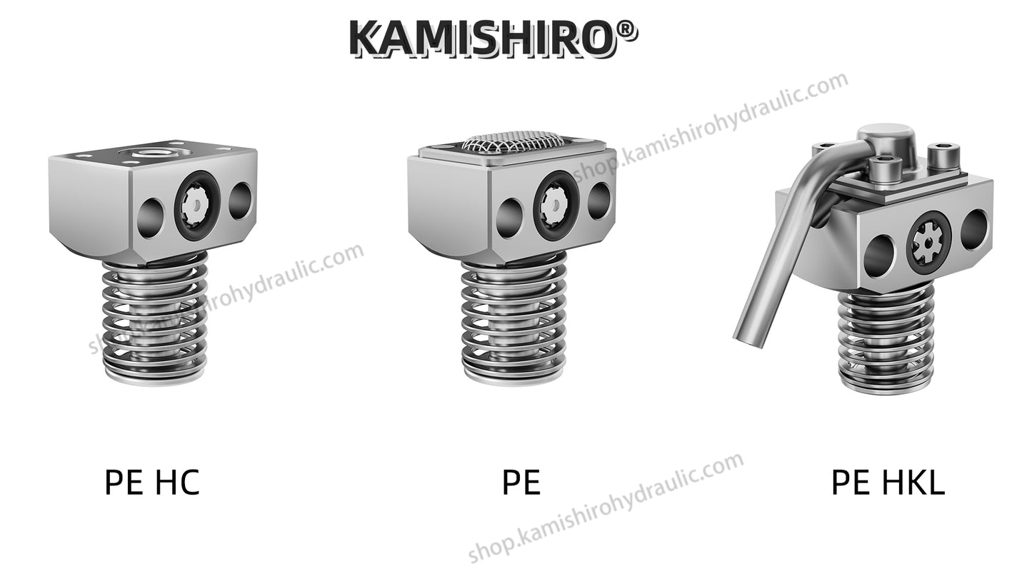 HAWE R Pump Plunger PE Hydraulic HAWE Radial Piston Pump Element PE10,12,13,14,15,16
