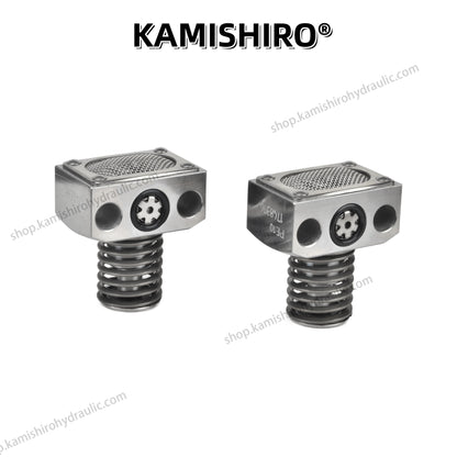 Hawe R RG Pump Kamishiro Hydraulic Radial Piston Pump with PE MPE Plunger