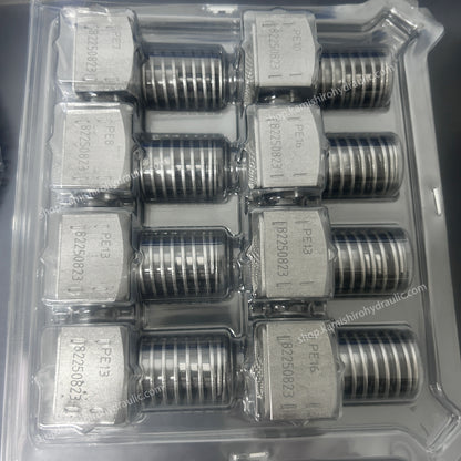 Wholesale Factory Hydraulic Pump Element PE6,PE8,PE10 Hydraulic HAWE Radial Piston Pump Element PE