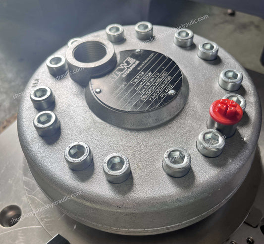 HAWE Radial Piston Pump R Type R5.8 R3,7 Kamishiro Hydraulic Pump High Pressure