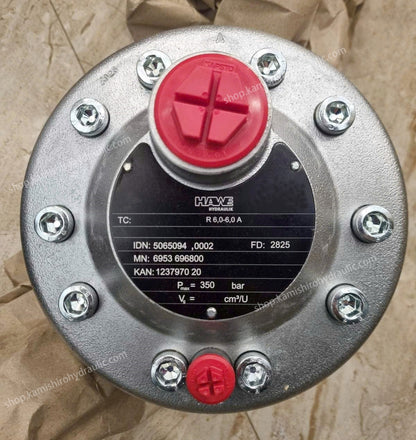 350bar HAWE Radial Piston Pump R6.0-6.0A Hydraulic Pump Motor Pump Kamishiro Factory