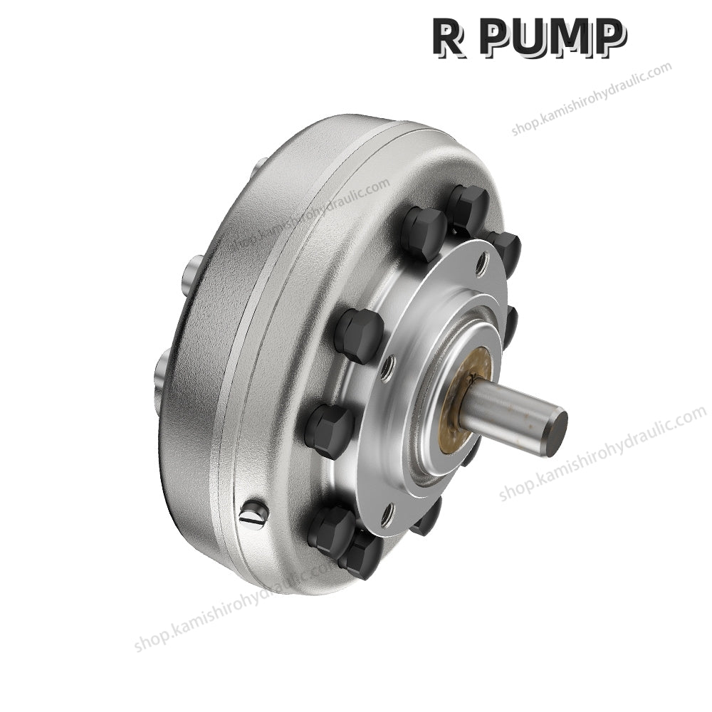 Hawe R RG Pump Kamishiro Hydraulic Radial Piston Pump with PE MPE Plunger