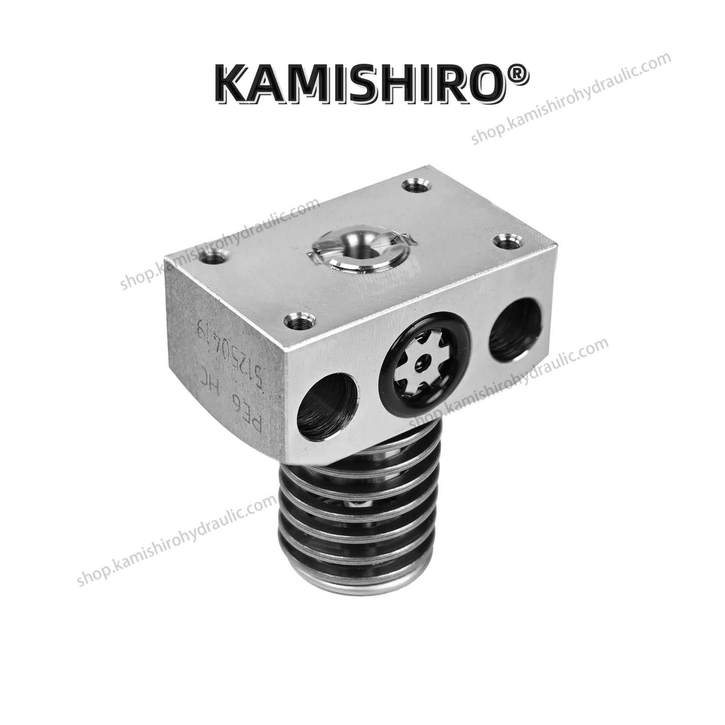 HAWE R Pump Plunger PE10,12,13,14,15,16 HC Hydraulic HAWE Radial Piston Pump Element