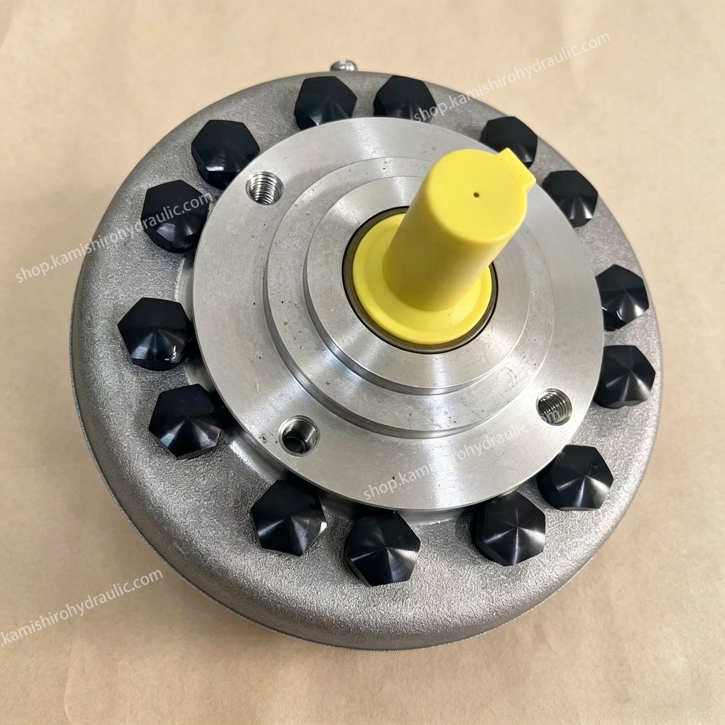 Hawe R8.4 Radial Piston Pump 350bar Kamishiro Factory for Hydraulic Station High Pressure