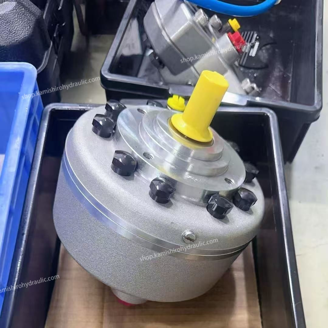 Hawe Radial Piston Pump R6.0-6.0 350bar Multi-output Hydraulic Pump By Kamishiro Hydraulics
