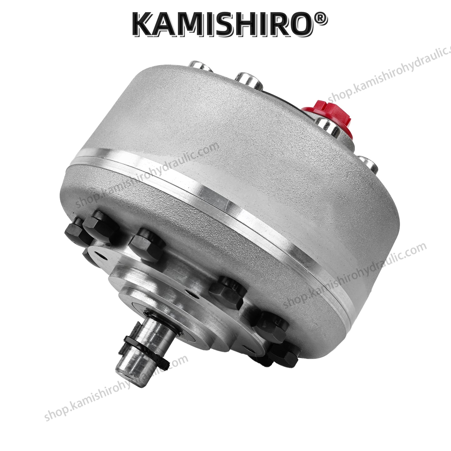 Hawe R RG Pump Kamishiro Hydraulic Radial Piston Pump with PE MPE Plunger