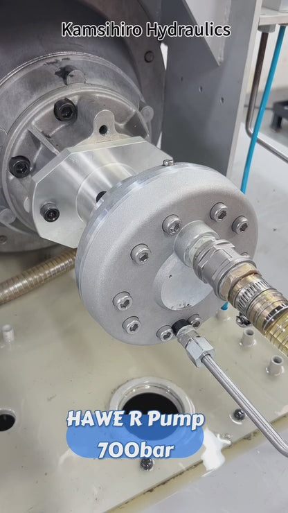 R7,0 300bar HAWE Radial piston pump type R RG for High Pressure Hydraulic Station Kamishiro factory